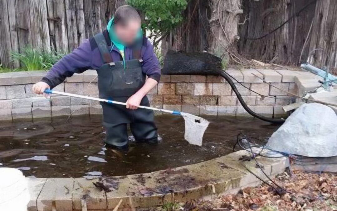 Koi Pond Design Services